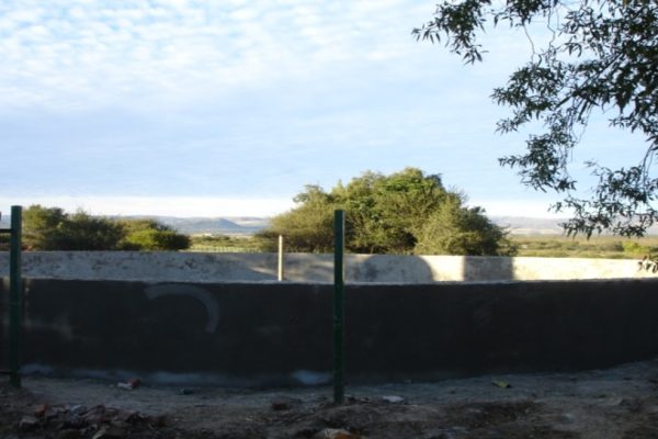 Picture21