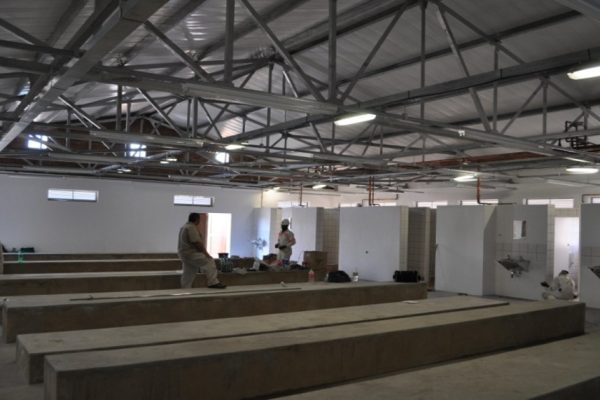 Picture48