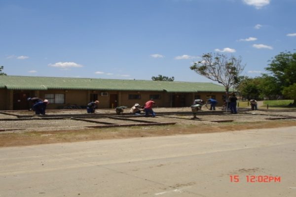 Picture59