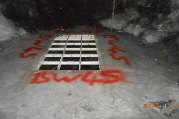 Picture8
